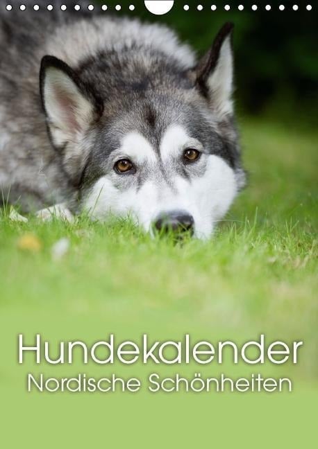 Hundekalender - Nordische Schönheiten (Wandkalender immerwährend DIN A4 hoch) - Nicole Noack