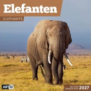 Cover-Bild zum Titel 'Elefanten Kalender 2027 - 30x30 - Art12' von 'Ackermann Kunstverlag GmbH'