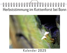 Cover-Bild zum Titel 'Herbststimmung im Kottenforst bei Bonn' von 'Anna Klein'