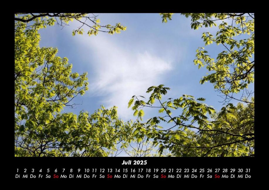 InsideView 11