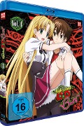 Cover-Bild zum Titel 'High School DxD BorN' von 'Takao Yoshioka, Ryosuke Nakanishi'