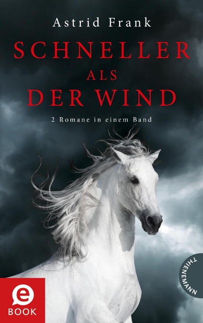 Schneller als der Wind - Astrid Frank