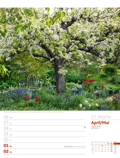 InsideView 21
