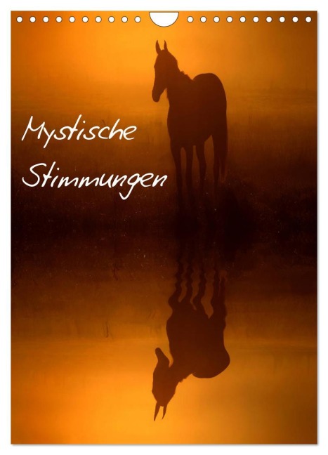 Mystische Stimmungen (Wandkalender 2026 DIN A4 hoch), CALVENDO Monatskalender - Lars Tuchel