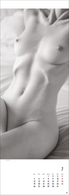 InsideView 7