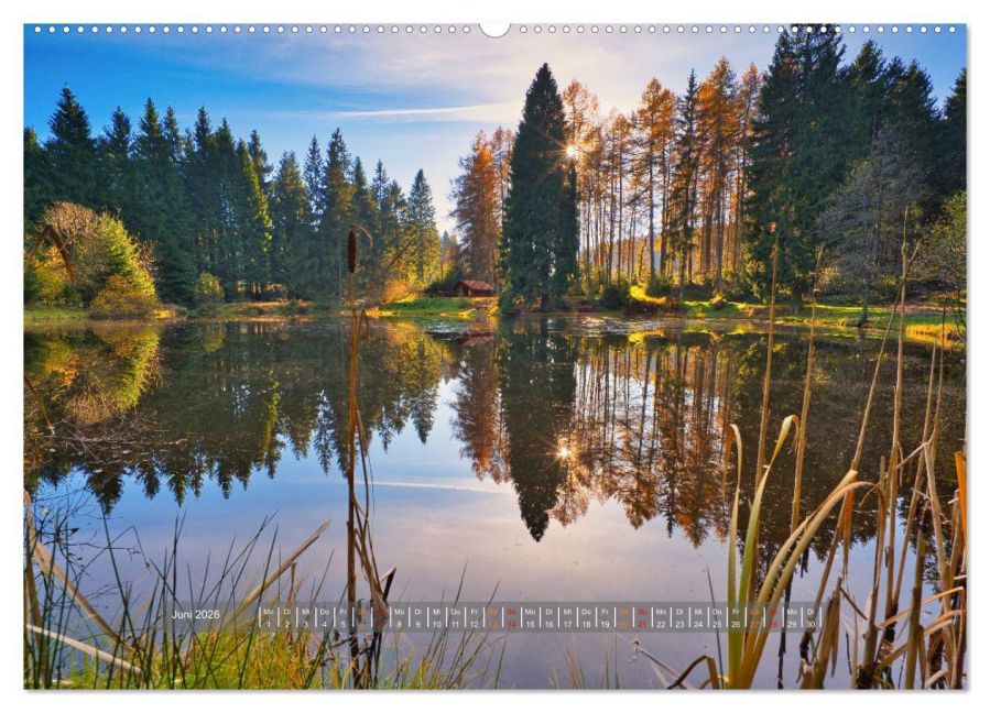 InsideView 11