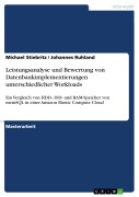 Cover-Bild zum Titel 'Leistungsanalyse und Bewertung von Datenbankimplementierungen unterschiedlicher Workloads' von 'Michael Stiebritz, Johannes Ruhland'