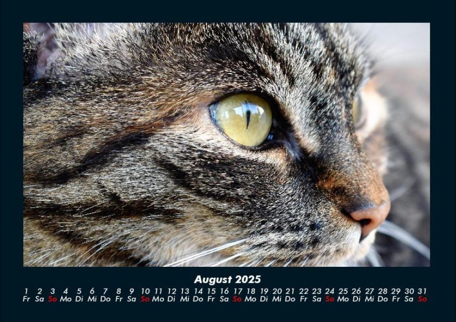 InsideView 12