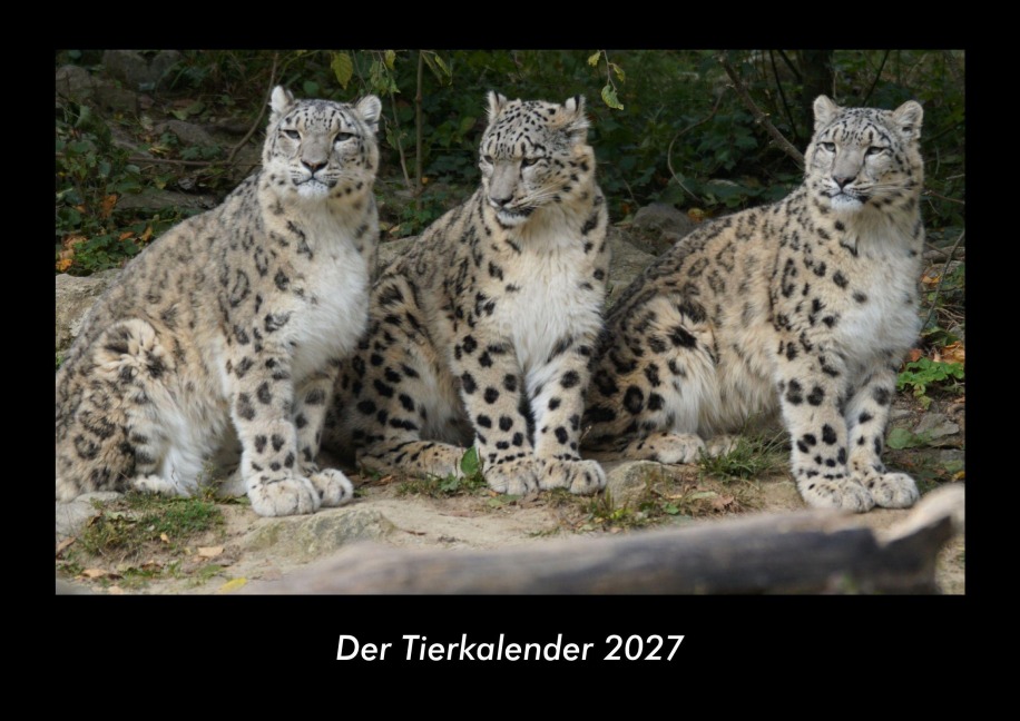 Der Tierkalender 2027 Fotokalender DIN A3 - Tobias Becker