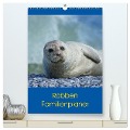 Robben Familienplaner (hochwertiger Premium Wandkalender 2025 DIN A2 hoch), Kunstdruck in Hochglanz - Kattobello Kattobello