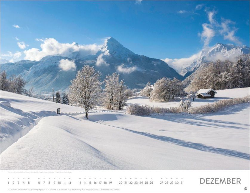 InsideView 12