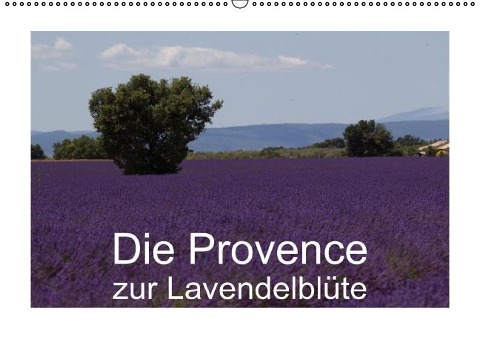 Die Provence zur Lavendelblüte (Wandkalender immerwährend DIN A2 quer) - Susanne Schröder