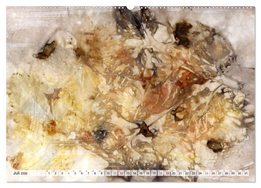 InsideView 12