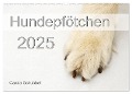 Hundepfötchen (Wandkalender 2025 DIN A2 quer), CALVENDO Monatskalender - Carola Schubbel
