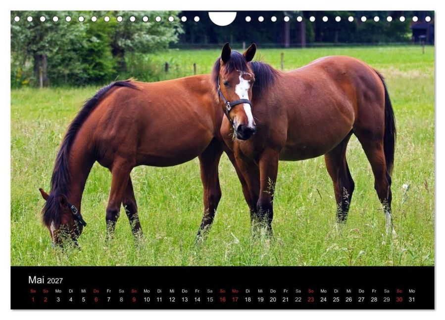 InsideView 10