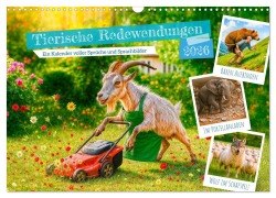 Cover-Bild zum Titel 'Tierische Redewendungen - Ein Kalender voller Sprüche und Sprachbilder (Wandkalender 2026 DIN A3 quer), CALVENDO Monatskalender' von 'Anja Frost'