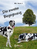 Cover-Bild zum Titel 'Die zweite Begegnung' von 'Erik Neutsch'