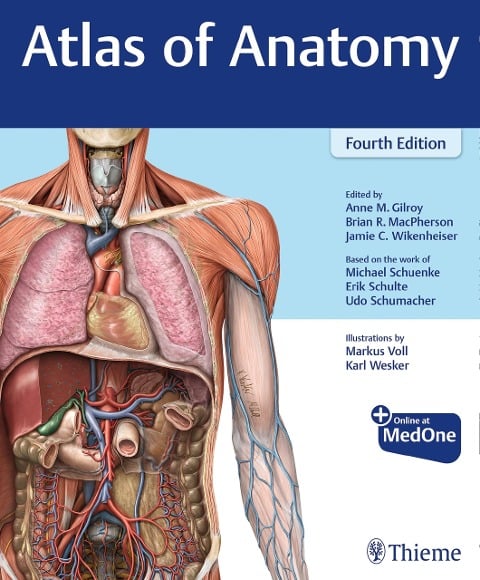 Atlas of Anatomy - Anne M Gilroy, Brian R MacPherson, Jamie Wikenheiser, Michael Schuenke, Erik Schulte