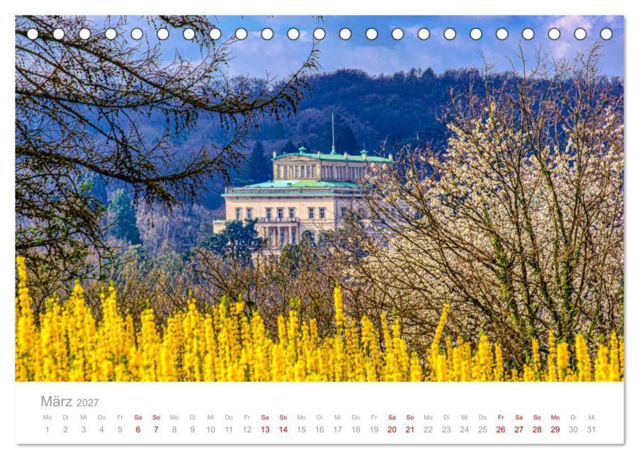 InsideView 8