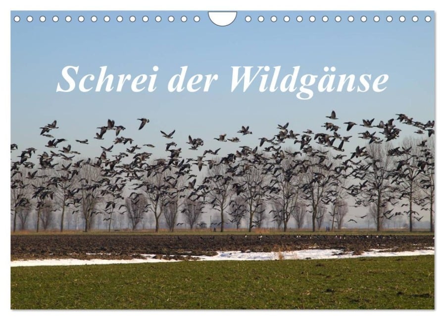 Schrei der Wildgänse (Wandkalender 2026 DIN A4 quer), CALVENDO Monatskalender - Rolf Pötsch