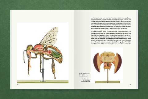 InsideView 8