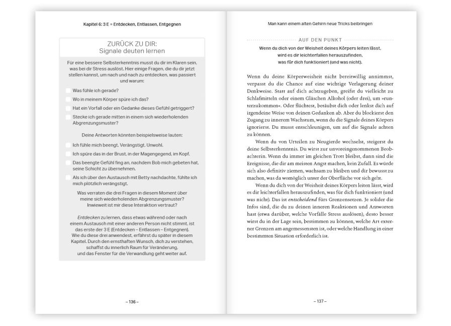 InsideView 5