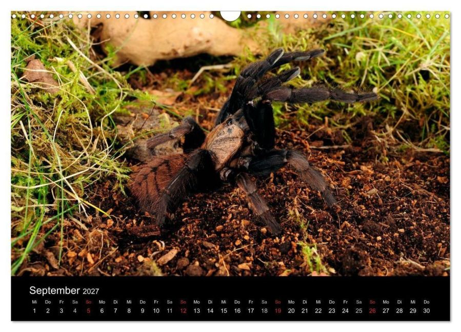 InsideView 11