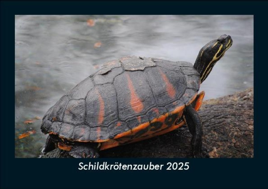 Schildkrötenzauber 2025 Fotokalender DIN A5 - Tobias Becker
