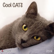 Cool Cats 2026 - 