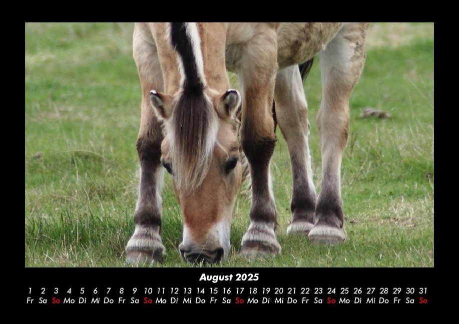 InsideView 12
