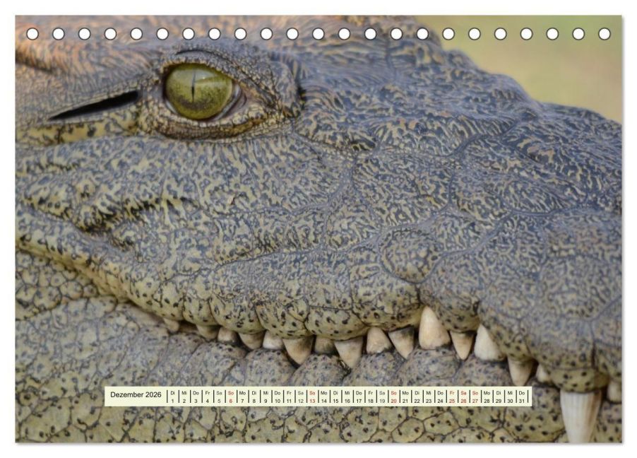 InsideView 4