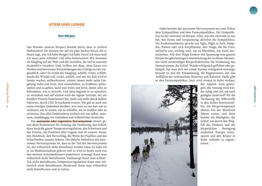 InsideView 3