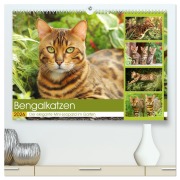 Cover-Bild zum Titel 'Bengalkatzen. Der elegante Mini-Leopard im Garten (hochwertiger Premium Wandkalender 2026 DIN A2 quer), Kunstdruck in Hochglanz' von 'Rose Hurley'