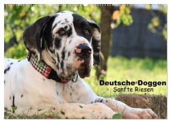 Deutsche Doggen - Sanfte Riesen (Wandkalender 2025 DIN A2 quer), CALVENDO Monatskalender - Marion Reiß - Seibert