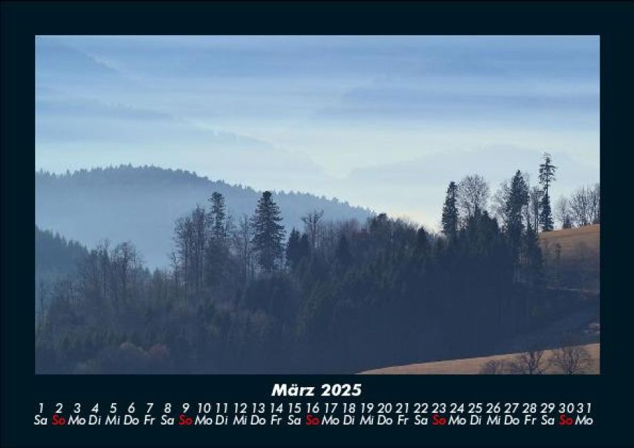 InsideView 7