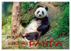 Niedlicher Panda (Wandkalender 2026 DIN A2 quer), CALVENDO Monatskalender - Peter Roder