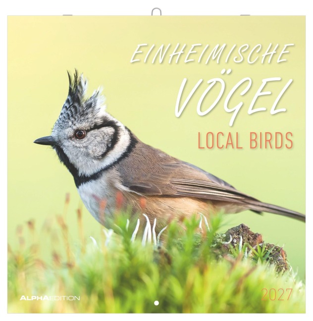 Einheimische Vögel 2027 - 