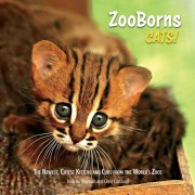 Cover-Bild zum Titel 'ZooBorns Cats!' von 'Andrew Bleiman, Chris Eastland'