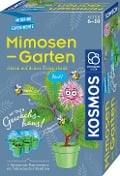 Mimosen-Garten - 