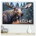 Im magischen Reich der Elche (hochwertiger Premium Wandkalender 2025 DIN A2 quer), Kunstdruck in Hochglanz - Renate Utz