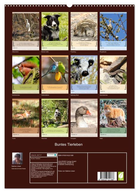 InsideView 4