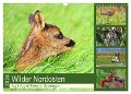 Wilder Nordosten - Aug in Aug mit Tieren der Ostseeregion (Wandkalender 2024 DIN A3 quer), CALVENDO Monatskalender - René Schaack