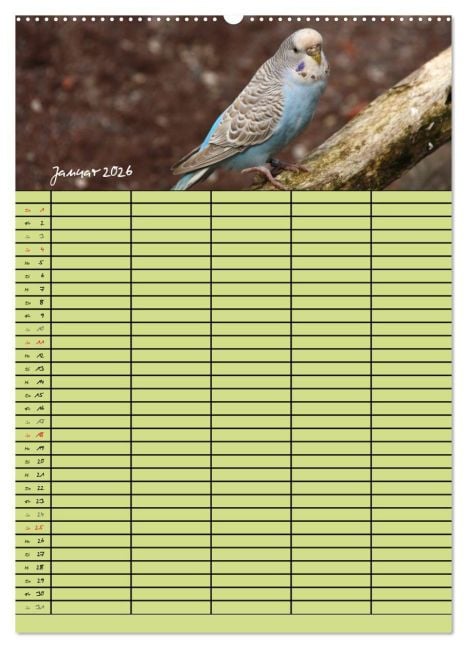 InsideView 6