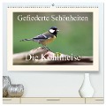 Gefiederte Schönheiten - Die Kohlmeise (hochwertiger Premium Wandkalender 2025 DIN A2 quer), Kunstdruck in Hochglanz - Rolf Pötsch