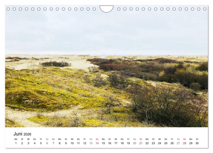 InsideView 11