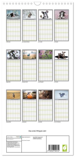 InsideView 5