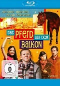 Cover-Bild zum Titel 'Das Pferd auf dem Balkon' von 'Milan Dor, Judit Varga'