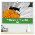 Wildbienen im Garten (hochwertiger Premium Wandkalender 2025 DIN A2 quer), Kunstdruck in Hochglanz - Silvia Hahnefeld