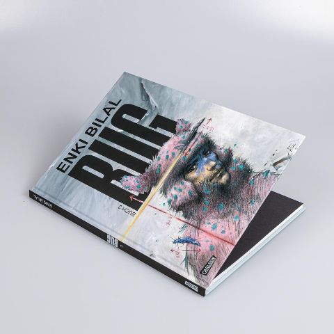 InsideView 2