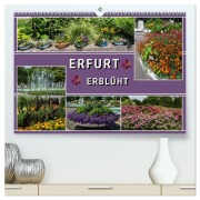 Erfurt erblüht (hochwertiger Premium Wandkalender 2026 DIN A2 quer), Kunstdruck in Hochglanz - Elke Hermann Koch
